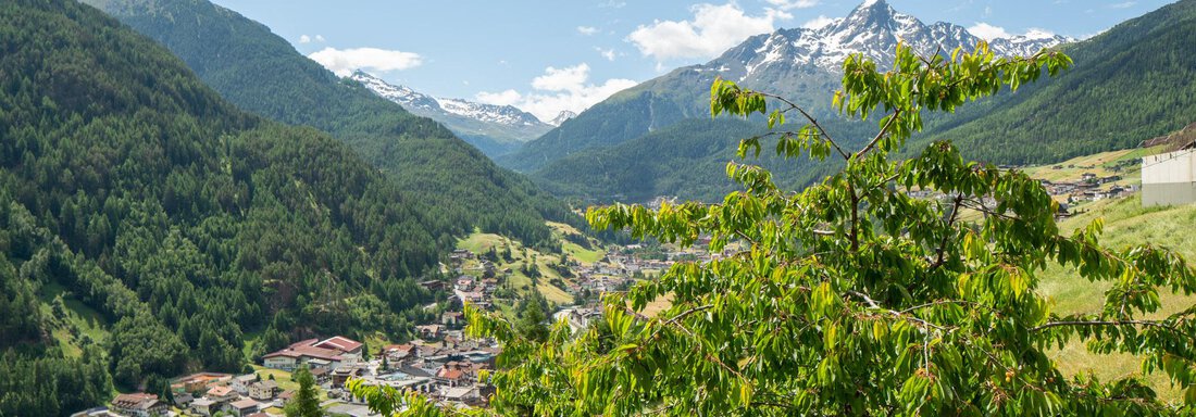 Panorama - Anraitl Appartements Sölden - Sölden