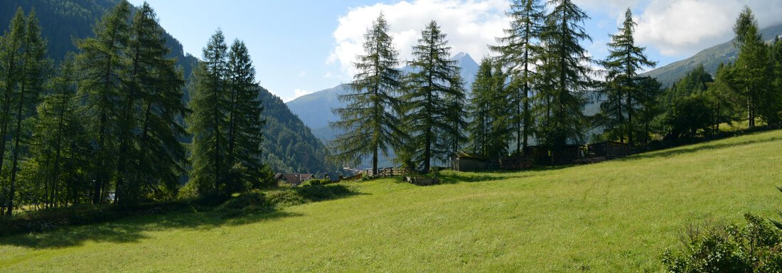 Balkon mit Blick nach Süden - Pension "Zur alten Mühle" - Sölden